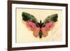 Butterfly-Albert Bierstadt-Framed Premium Giclee Print