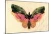 Butterfly-Albert Bierstadt-Mounted Premium Giclee Print