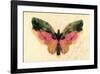 Butterfly-Albert Bierstadt-Framed Premium Giclee Print