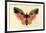 Butterfly-Albert Bierstadt-Framed Premium Giclee Print