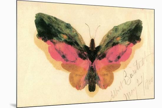 Butterfly-Albert Bierstadt-Mounted Premium Giclee Print