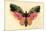 Butterfly-Albert Bierstadt-Mounted Premium Giclee Print