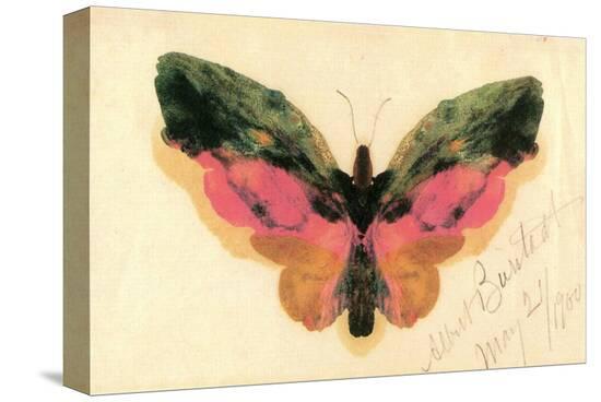 Butterfly-Albert Bierstadt-Stretched Canvas