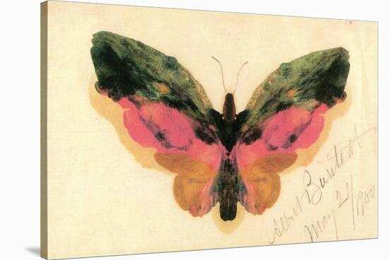 Butterfly-Albert Bierstadt-Stretched Canvas