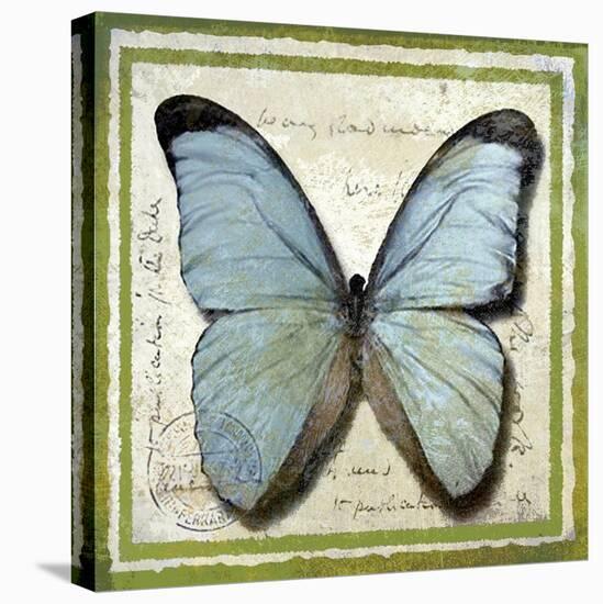 Butterfly-Karen J^ Williams-Stretched Canvas