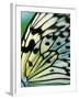 Butterfly-Ella Lancaster-Framed Giclee Print