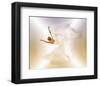 Butterfly-null-Framed Art Print