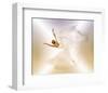 Butterfly-null-Framed Art Print