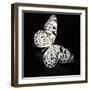 Butterfly-Sean Justice-Framed Premium Photographic Print