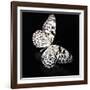 Butterfly-Sean Justice-Framed Photographic Print