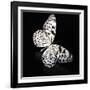 Butterfly-Sean Justice-Framed Photographic Print