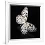 Butterfly-Sean Justice-Framed Photographic Print