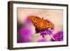 Butterfly-null-Framed Photographic Print