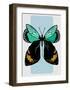 Butterfly-Ayse-Framed Art Print