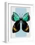 Butterfly-Ayse-Framed Art Print