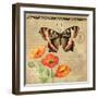 Butterfly-Gregory Gorham-Framed Photographic Print