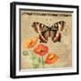 Butterfly-Gregory Gorham-Framed Photographic Print