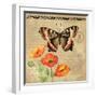 Butterfly-Gregory Gorham-Framed Photographic Print