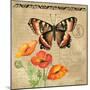 Butterfly-Gregory Gorham-Mounted Photographic Print