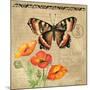 Butterfly-Gregory Gorham-Mounted Photographic Print