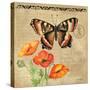 Butterfly-Gregory Gorham-Stretched Canvas