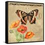 Butterfly-Gregory Gorham-Framed Stretched Canvas