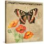 Butterfly-Gregory Gorham-Stretched Canvas