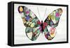 Butterfly-Aimee Wilson-Framed Stretched Canvas