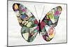 Butterfly-Aimee Wilson-Mounted Art Print