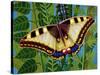 Butterfly-Tamas Galambos-Stretched Canvas