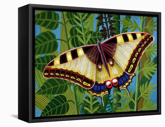 Butterfly-Tamas Galambos-Framed Stretched Canvas