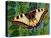 Butterfly-Tamas Galambos-Stretched Canvas