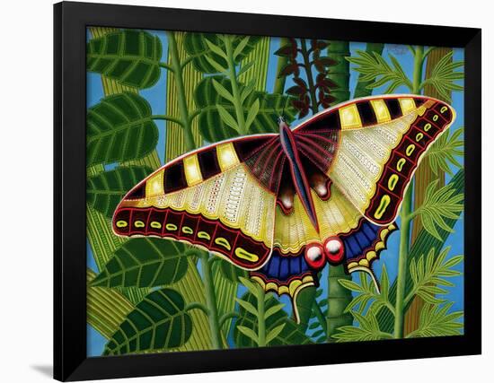 Butterfly-Tamas Galambos-Framed Giclee Print