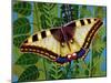 Butterfly-Tamas Galambos-Mounted Giclee Print