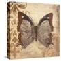Butterfly-Patricia Pinto-Stretched Canvas