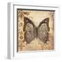 Butterfly-Patricia Pinto-Framed Art Print