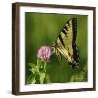 Butterfly-5fishcreative-Framed Giclee Print