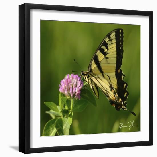 Butterfly-5fishcreative-Framed Giclee Print