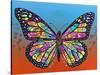 Butterfly-Dean Russo-Stretched Canvas