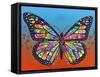 Butterfly-Dean Russo-Framed Stretched Canvas