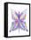 Butterfly-Stephanie Analah-Framed Stretched Canvas