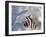 Butterfly-Dana Brett Munach-Framed Giclee Print