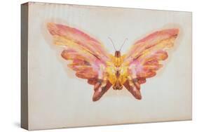 Butterfly-Albert Bierstadt-Stretched Canvas