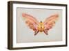 Butterfly-Albert Bierstadt-Framed Giclee Print