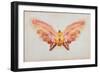 Butterfly-Albert Bierstadt-Framed Giclee Print