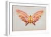 Butterfly-Albert Bierstadt-Framed Giclee Print