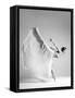butterfly-Arkadiusz Branicki-Framed Stretched Canvas