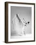 butterfly-Arkadiusz Branicki-Framed Photographic Print