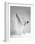 butterfly-Arkadiusz Branicki-Framed Photographic Print