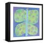 Butterfly-Stephanie Bauer-Framed Stretched Canvas